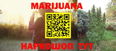 прущие грибы Чебоксары