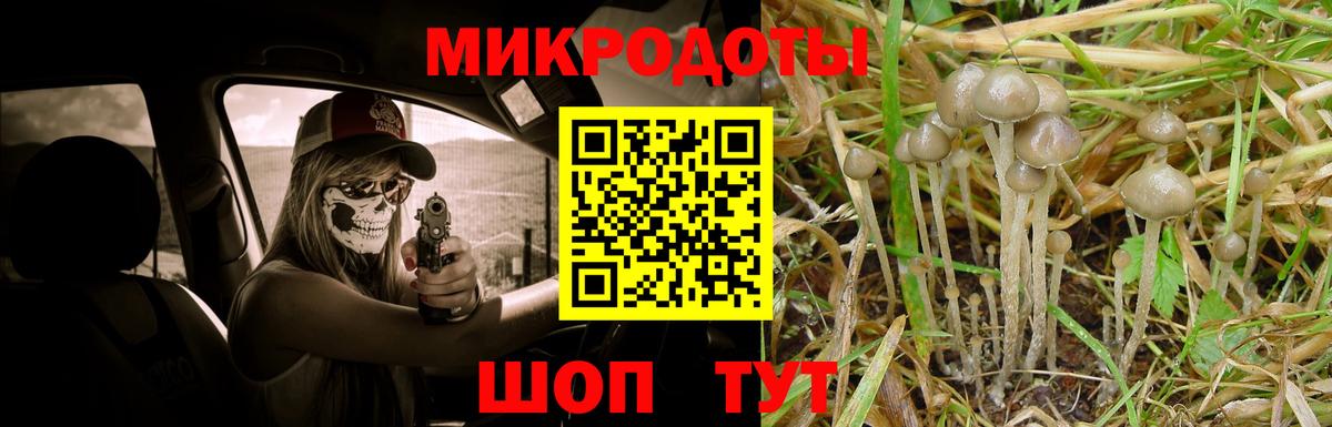 Галлюциногенные грибы GOLDEN TEACHER  Галлюциногенные грибы Psilocybine cubensis  Армавир  Вход с VPN 